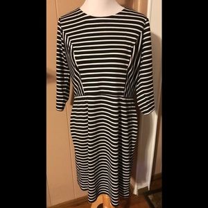 Cato 3/4 length sleeves Casual Dress Size 12